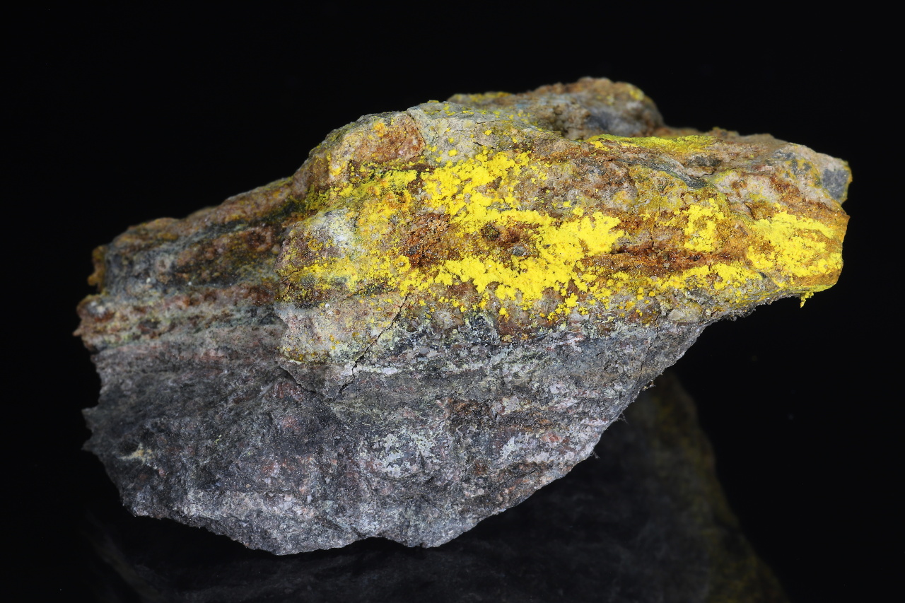 Natrozippeite - Image 4