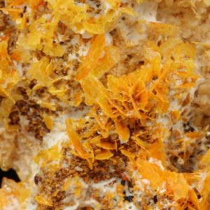 Wulfenite