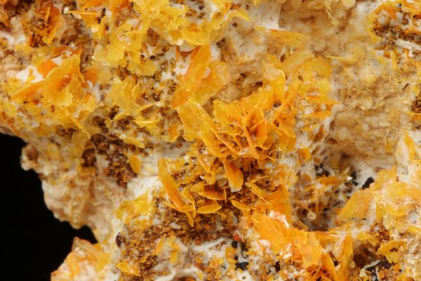Wulfenite