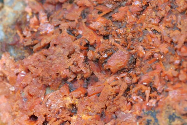 Crocoite - Image 4