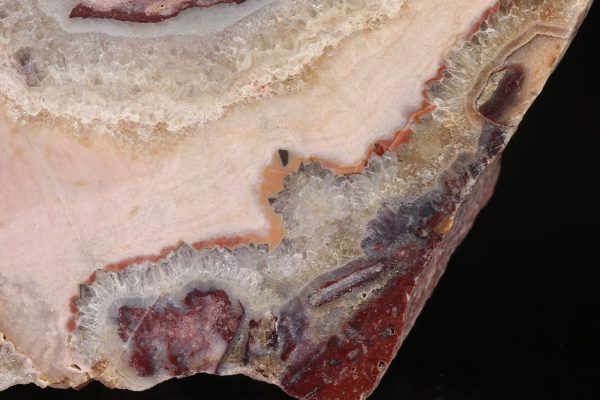 Jasper - Image 5