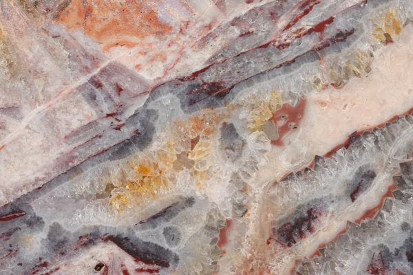 Jasper - Image 6
