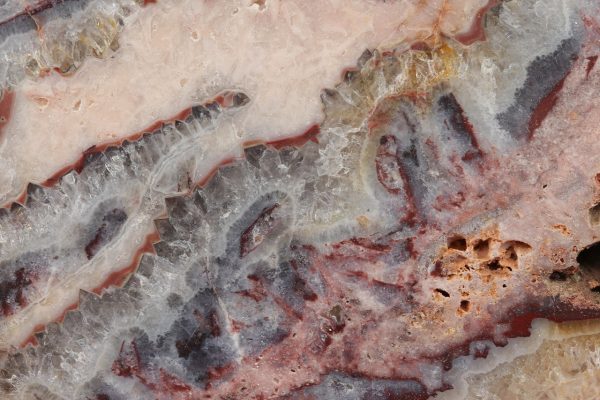 Jasper - Image 7