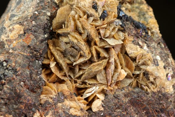 Siderite, sphalerite - Image 3