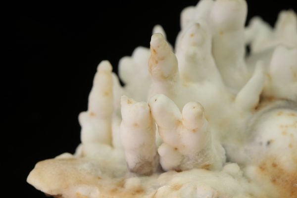 Aragonite - Image 5