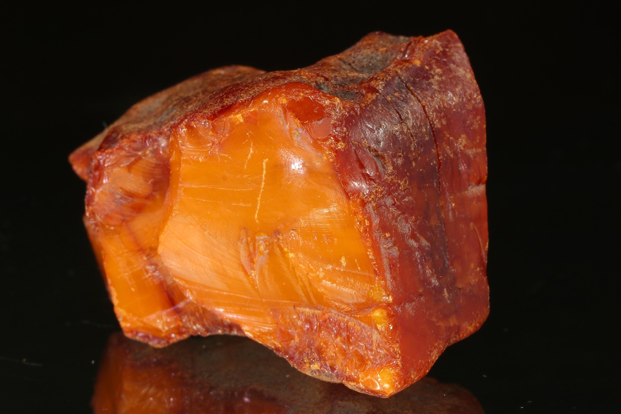 Amber - Image 2
