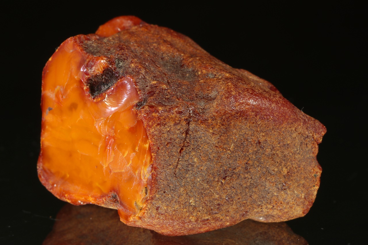 Amber - Image 4