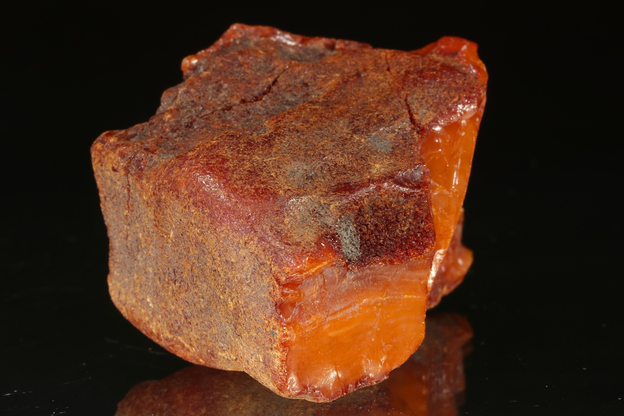 Amber - Image 5