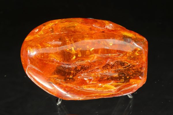 Amber with a mosquito - Image 2