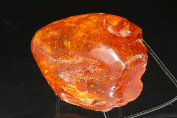 Amber with a mosquito - Image 3