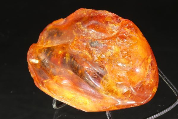 Amber with a mosquito - Image 6