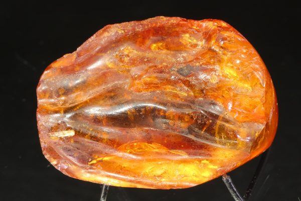 Amber with a mosquito - Image 5