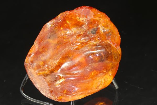 Amber with a mosquito - Image 4