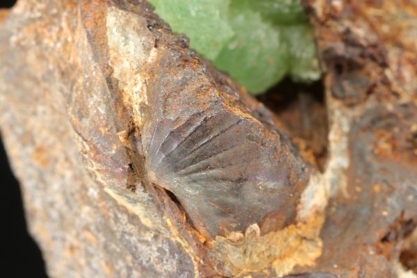 Anapaite - Image 7
