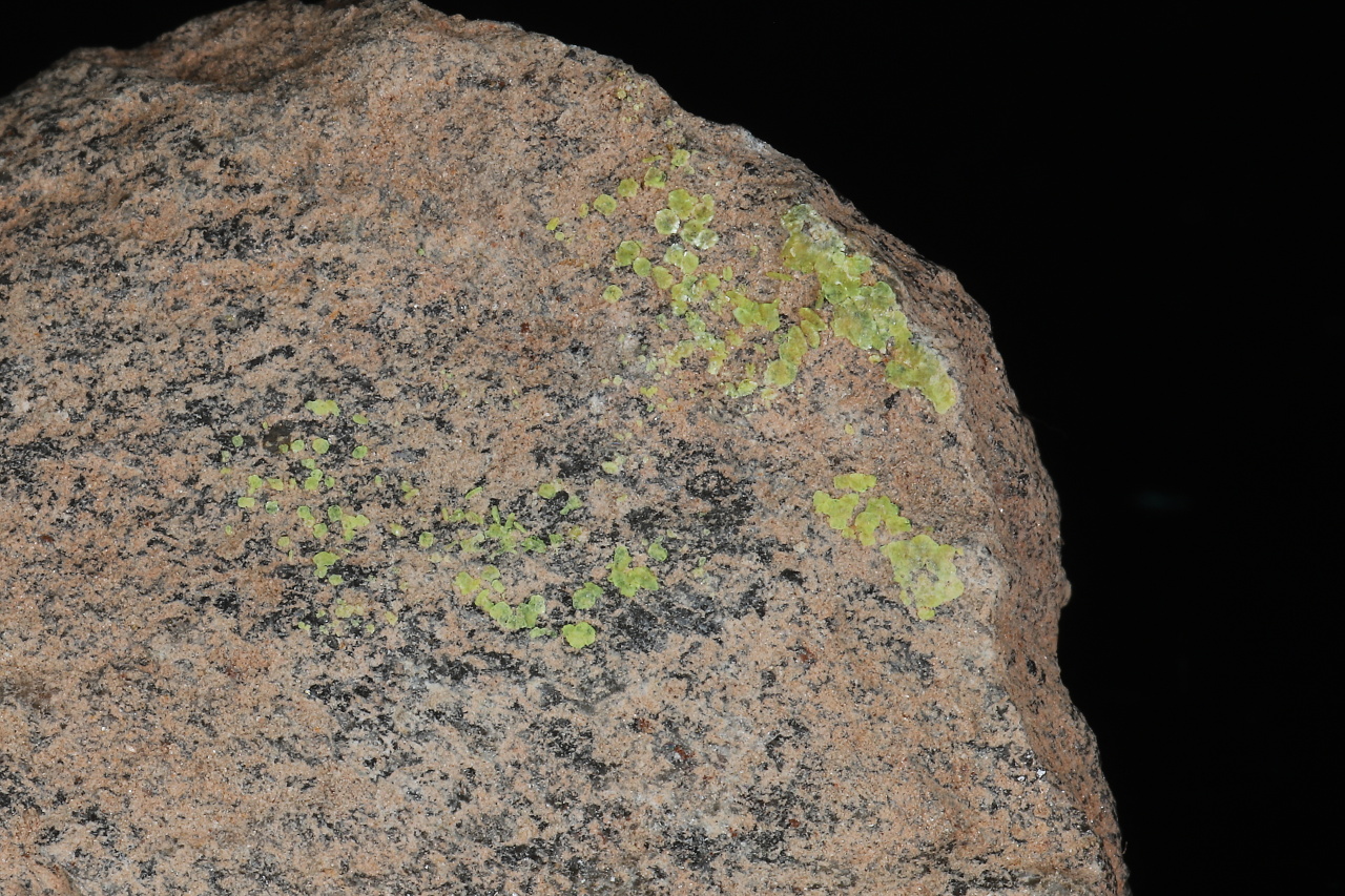 Línekite, braunerite