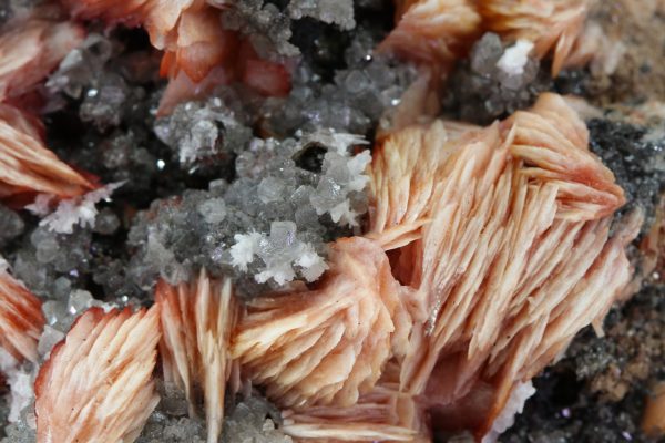 Cerussite, galena, baryte - Image 4