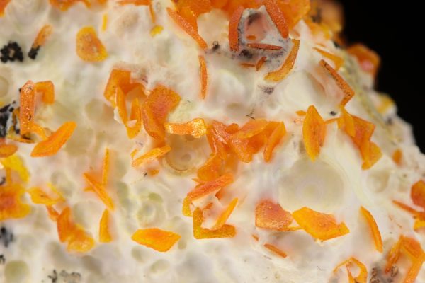 Wulfenite - Image 6