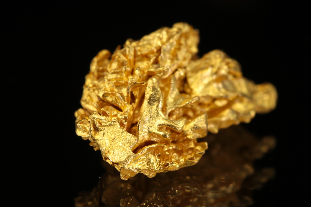 Gold - Image 7