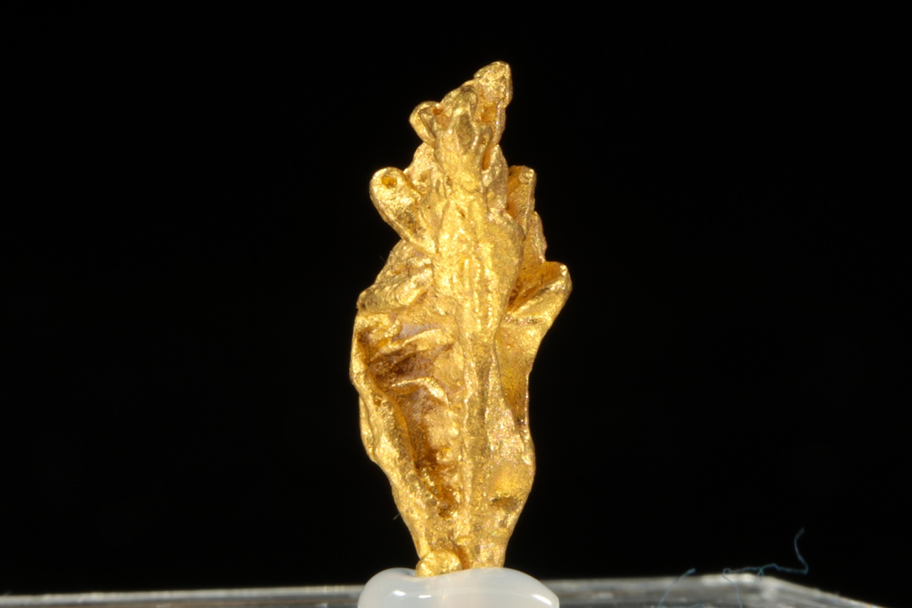 Gold - Image 4
