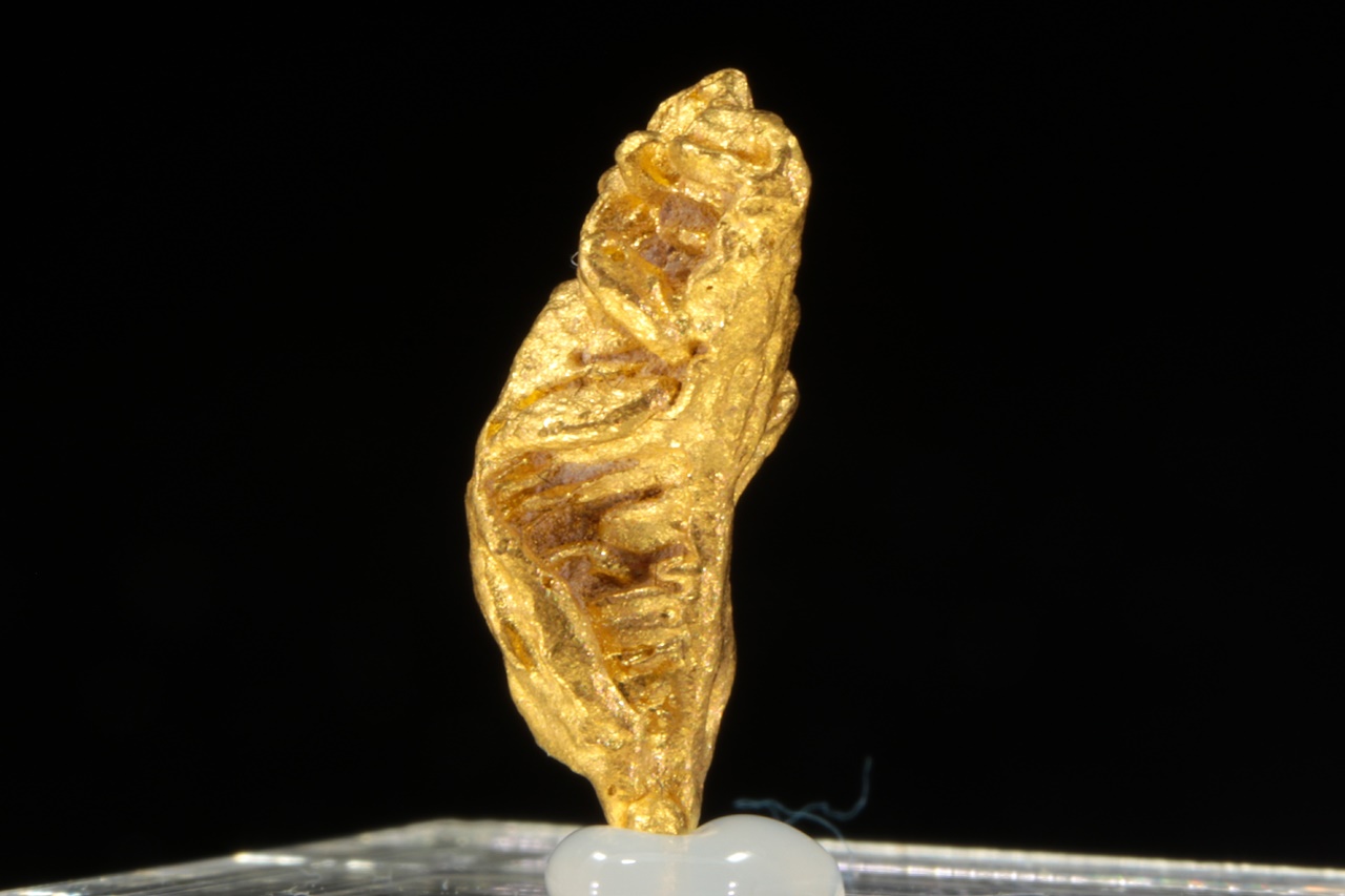 Gold - Image 5