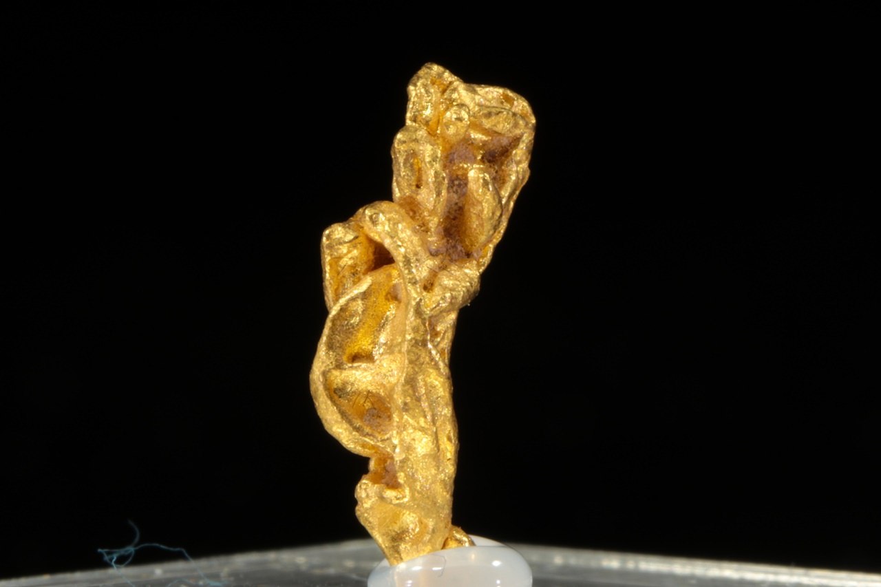 Gold - Image 6
