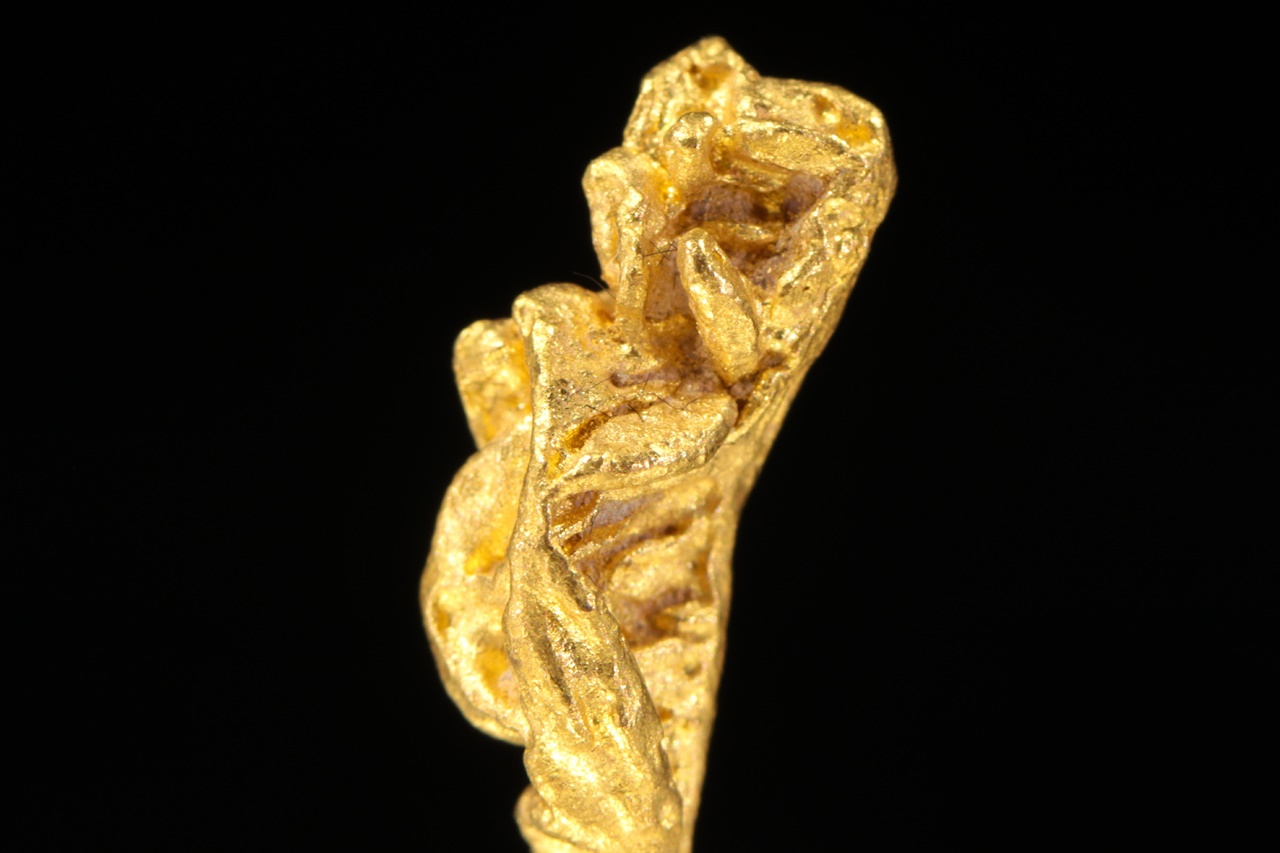 Gold - Image 9