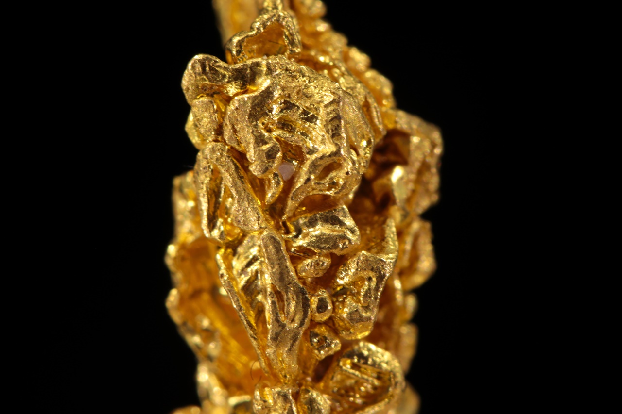 Gold - Image 10