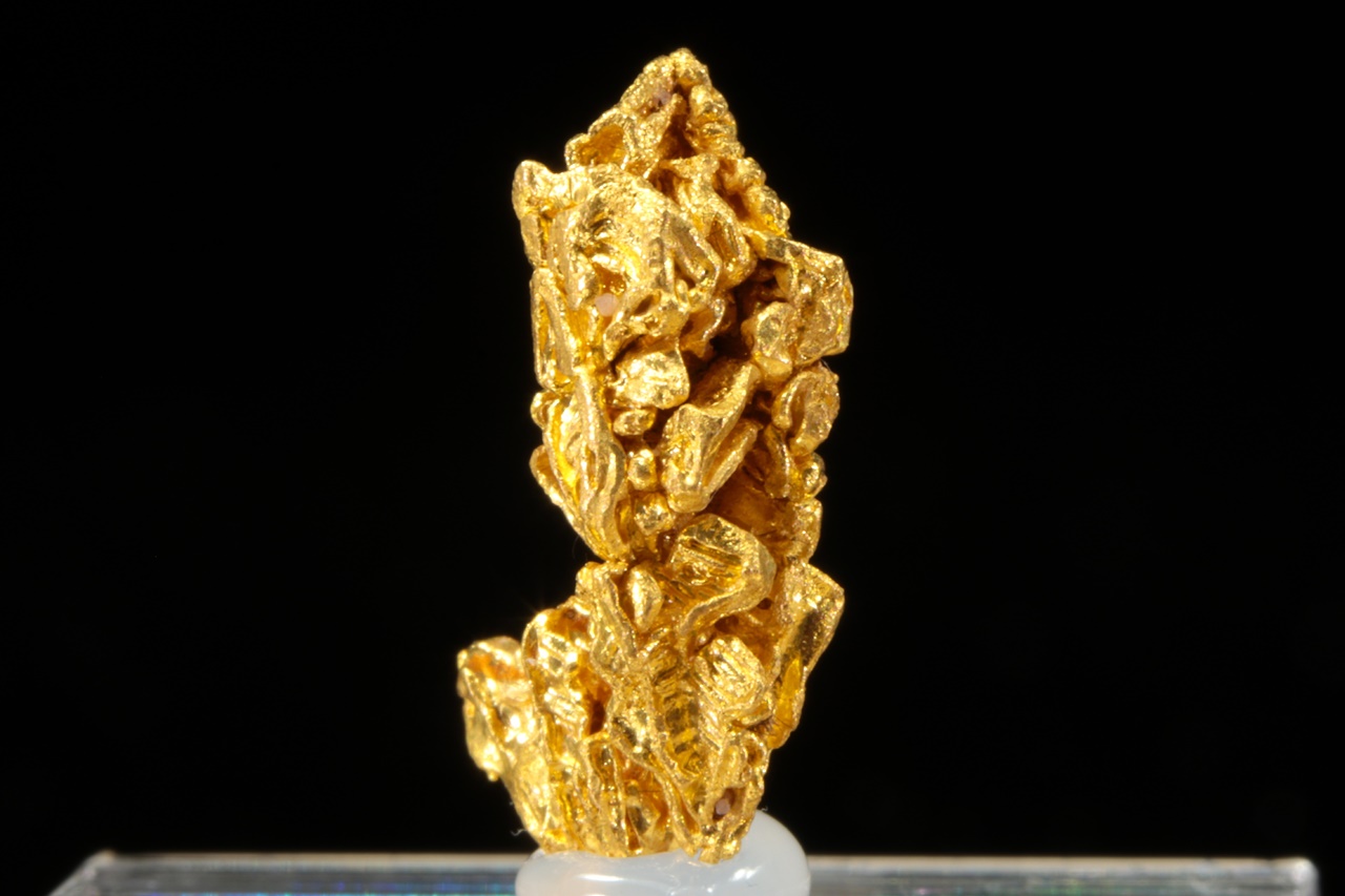 Gold - Image 5