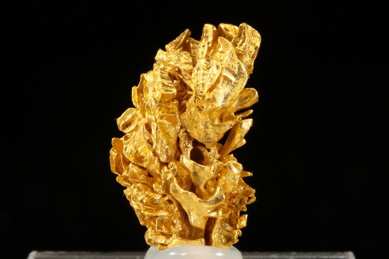 Gold - Image 4