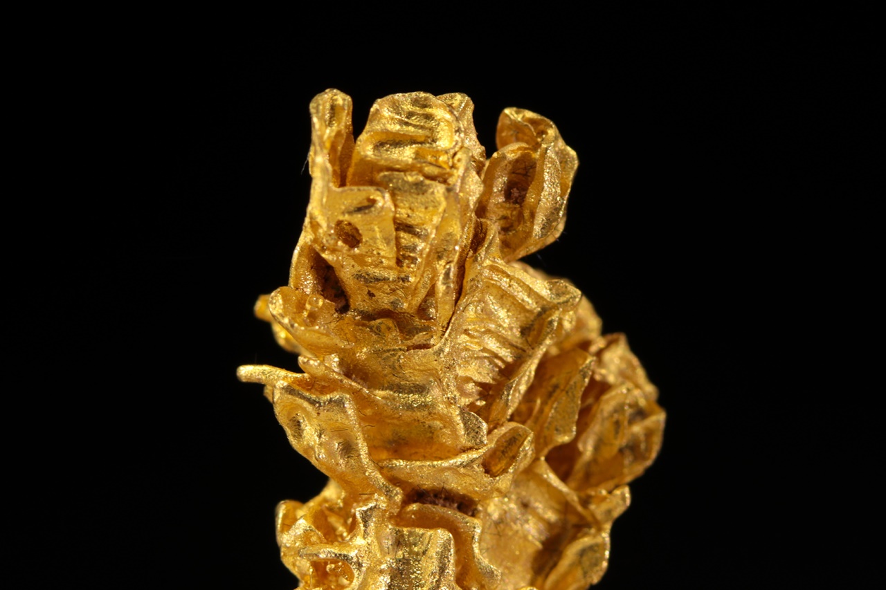 Gold - Image 9