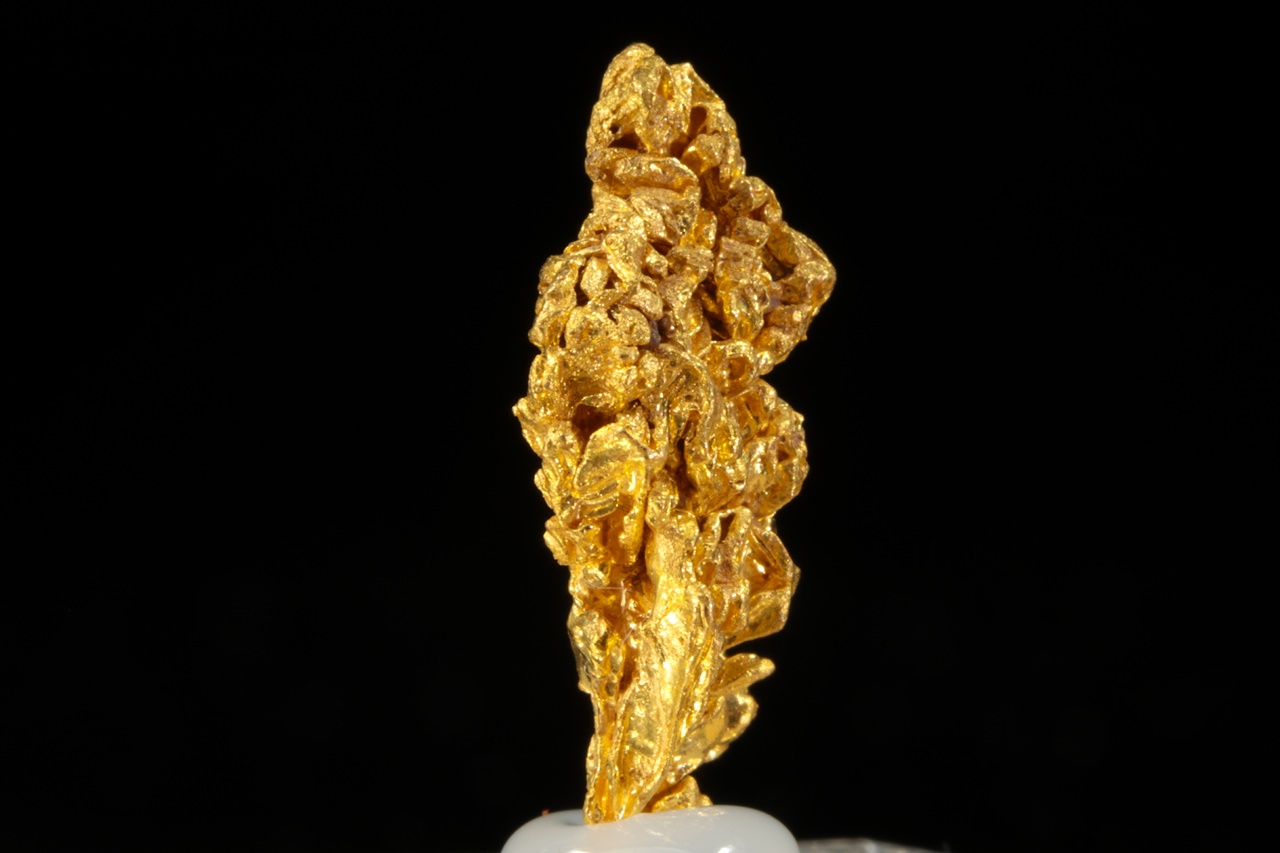 Gold - Image 2