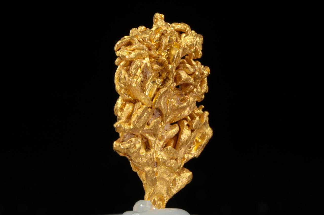 Gold - Image 3