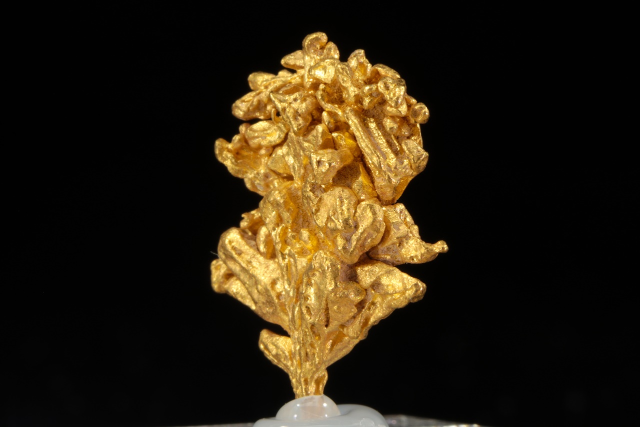 Gold - Image 4