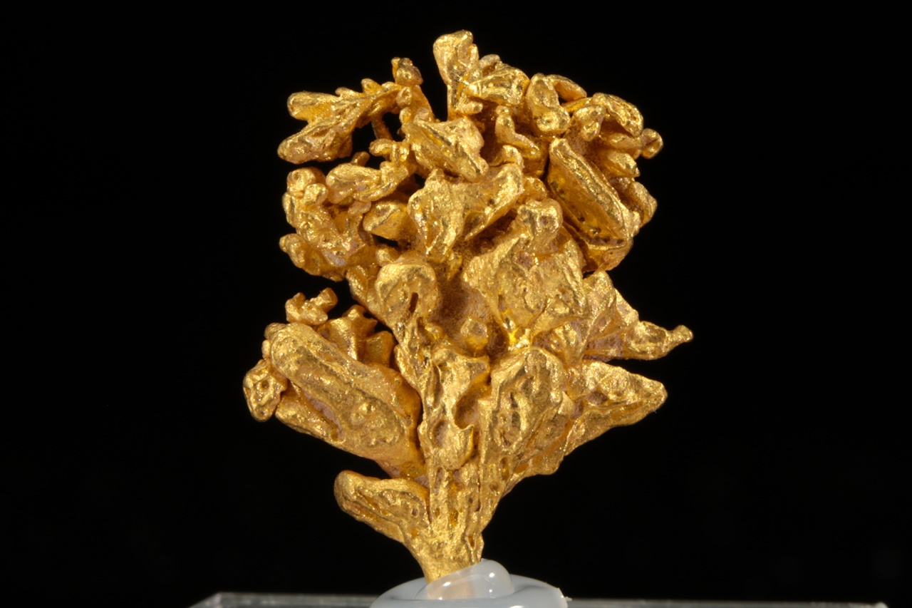 Gold - Image 5