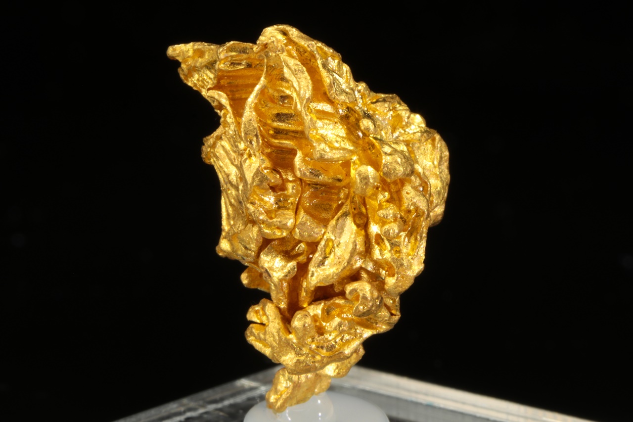 Gold - Image 4