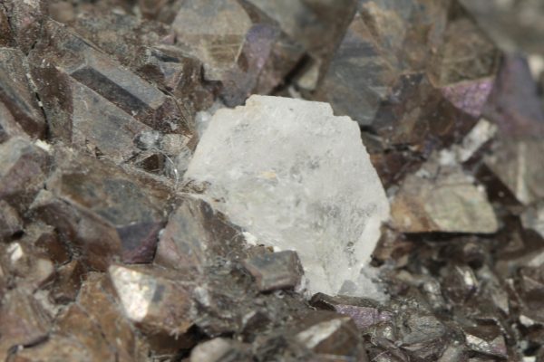 Alabandite, fluorite - Image 10