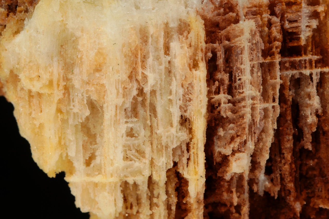 Pachnolite - Image 10