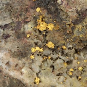 Gold ore