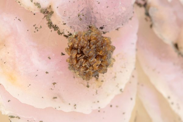 Rose quartz, eosphorite - Image 9
