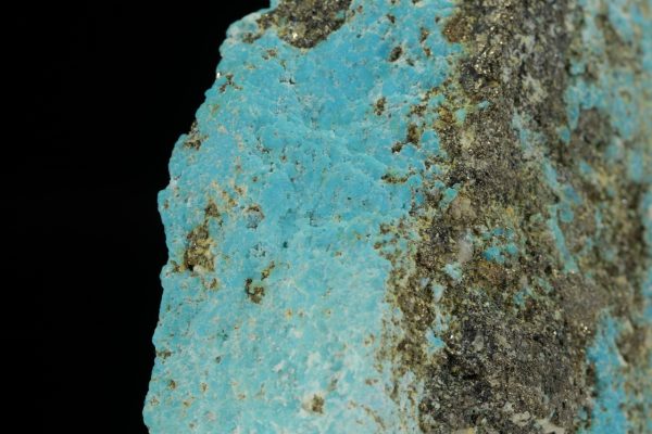 Turquoise - Image 7