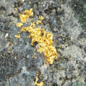 Gold
