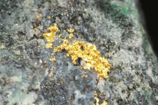 Gold - Image 7