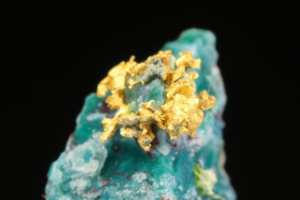Gold - Image 5
