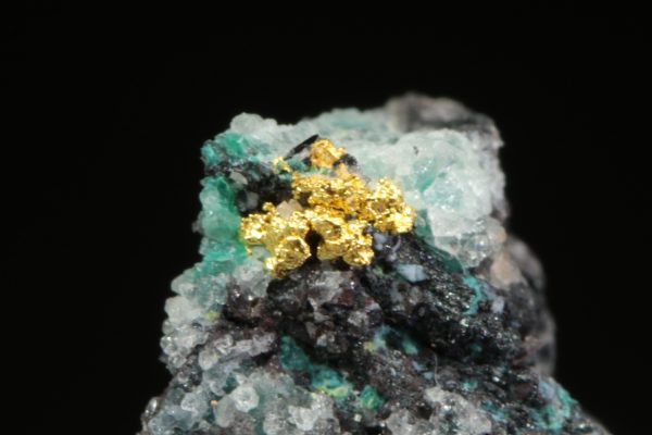 Gold - Image 6