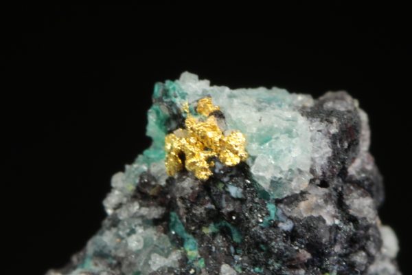 Gold - Image 7