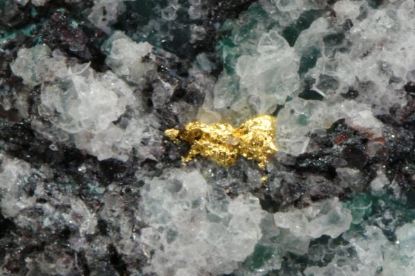Gold - Image 8