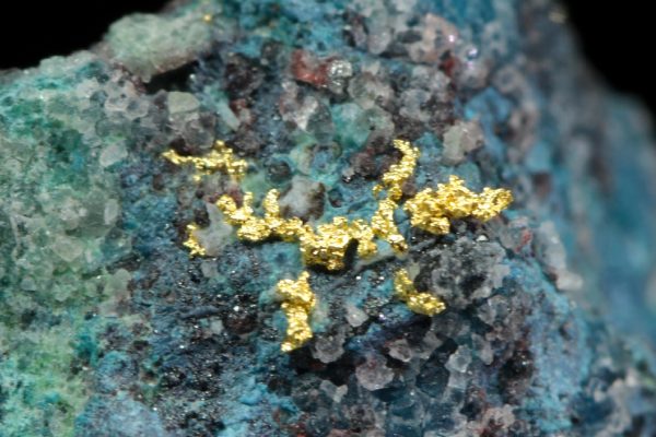 Gold - Image 5