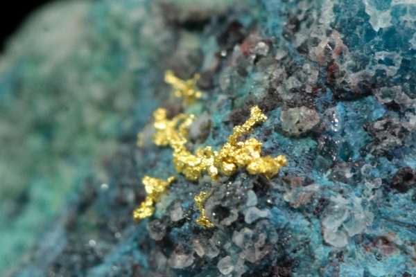 Gold - Image 6