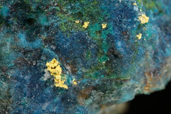 Gold - Image 6