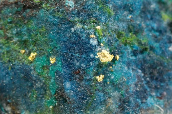 Gold - Image 7